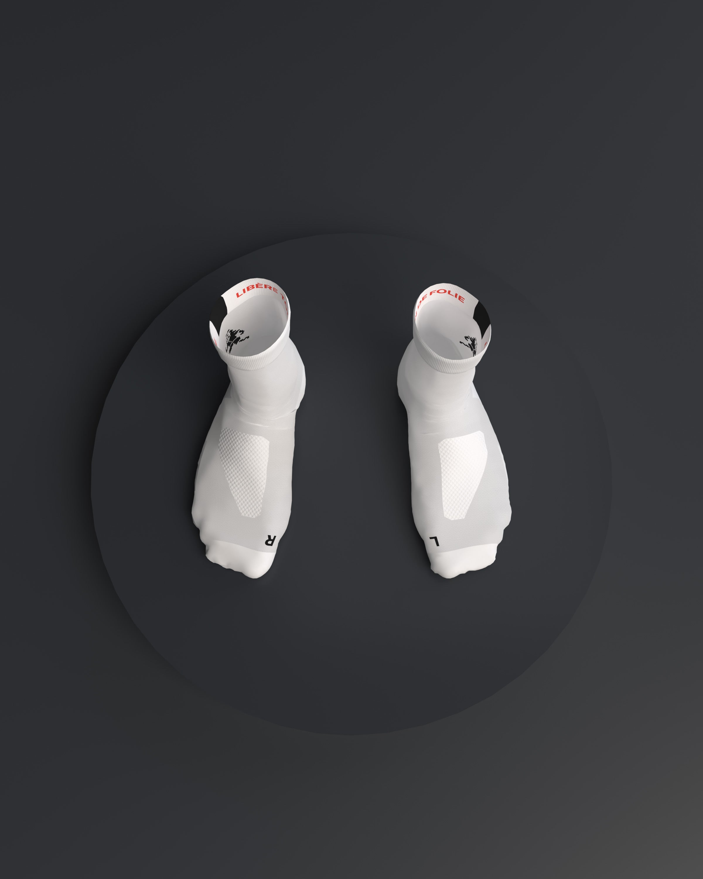 CHAUSSETTES FINES ET LYRIQUES